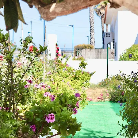 Casa Do Afonso Casa de Férias *